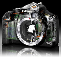 Canon EOS 500D / Rebel T1i (image from dpreview.com)
